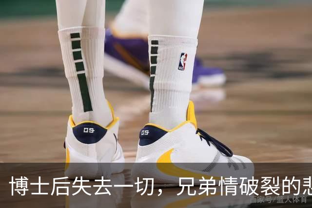 博士后失去一切，兄弟情破裂的悲剧